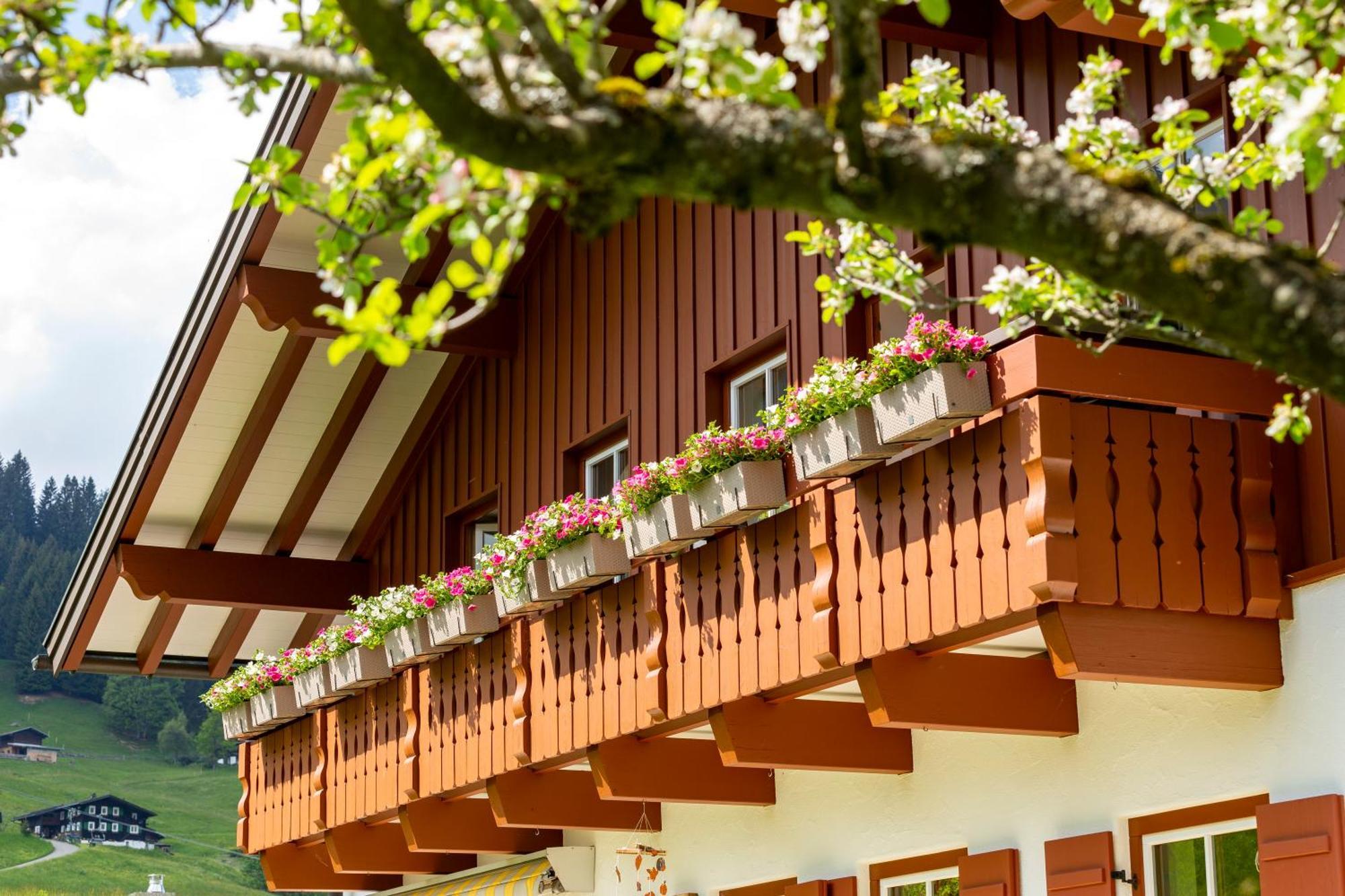Haus Berg & Tal Hirschegg (Vorarlberg) Exterior foto